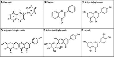 Does Oral Apigenin Have Real Potential for a Therapeutic Effect in the Context of Human Gastrointestinal and Other Cancers?